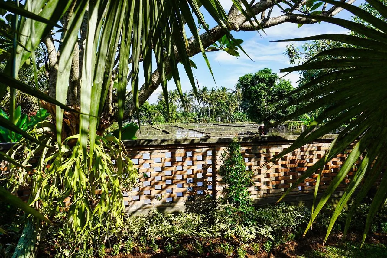 **** Tatil parkı Adil Villa & Resort Ubud Endonezya